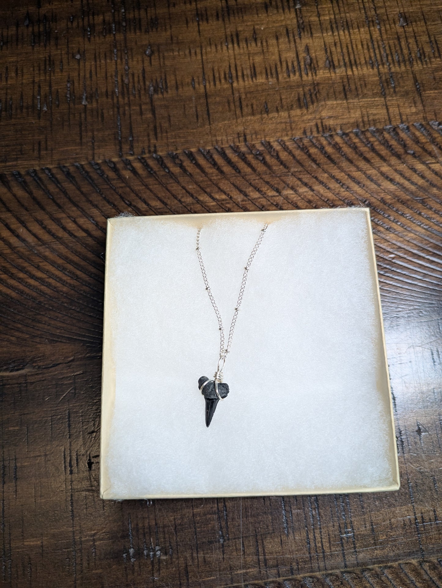 Silver Chain Bull Shark Tooth Pendant Necklace