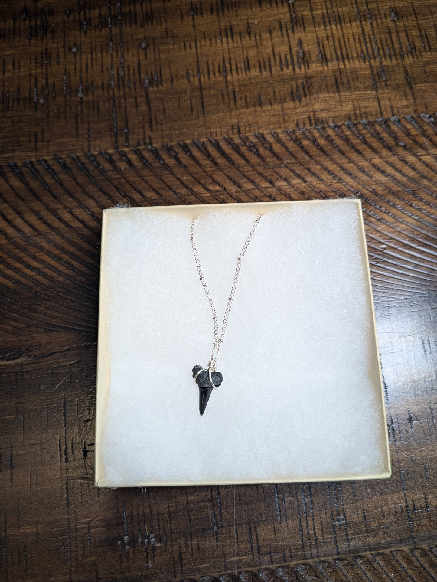 Silver Chain Bull Shark Tooth Pendant Necklace