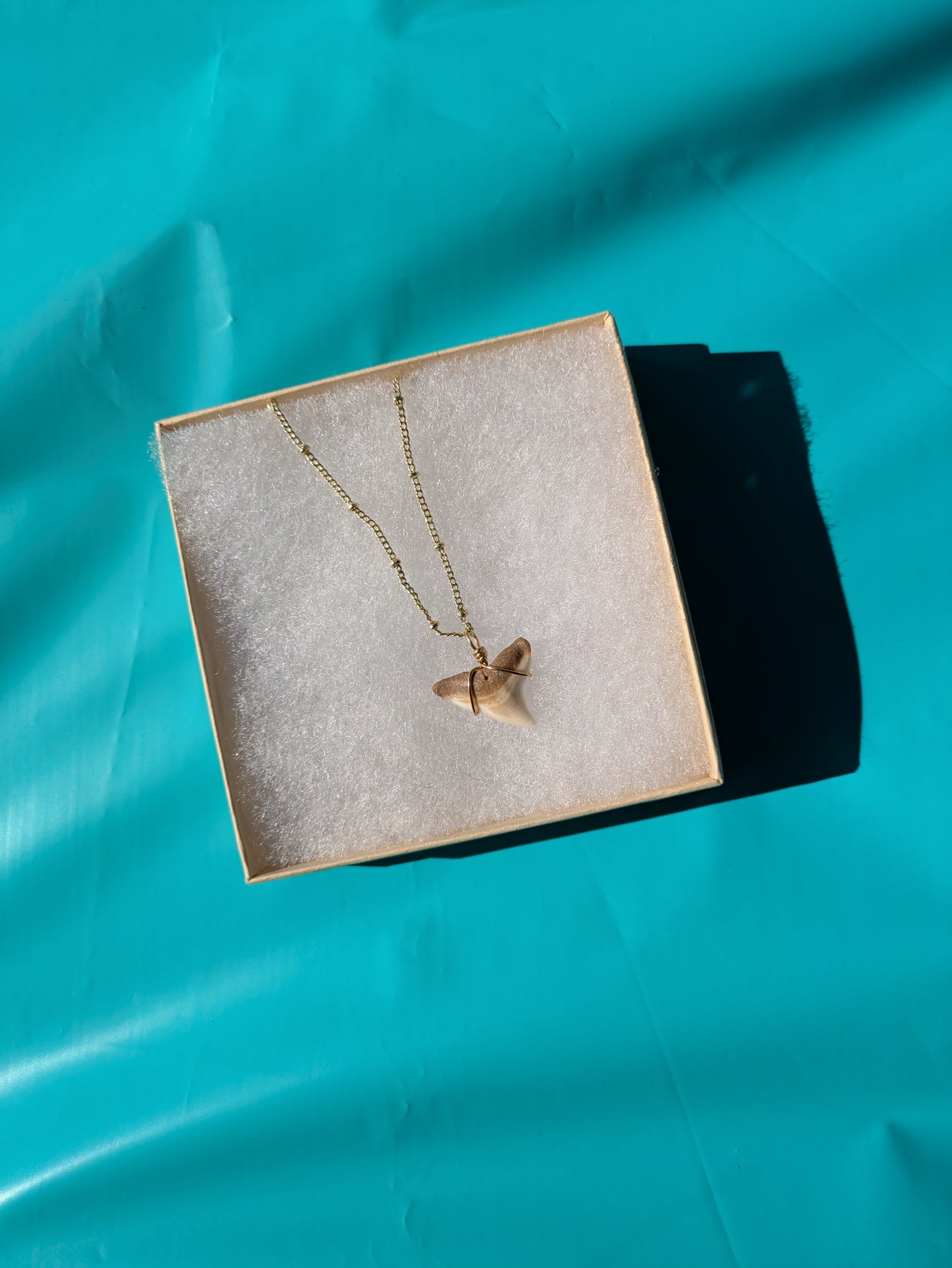 Gold Chain Bull Shark Tooth Necklace