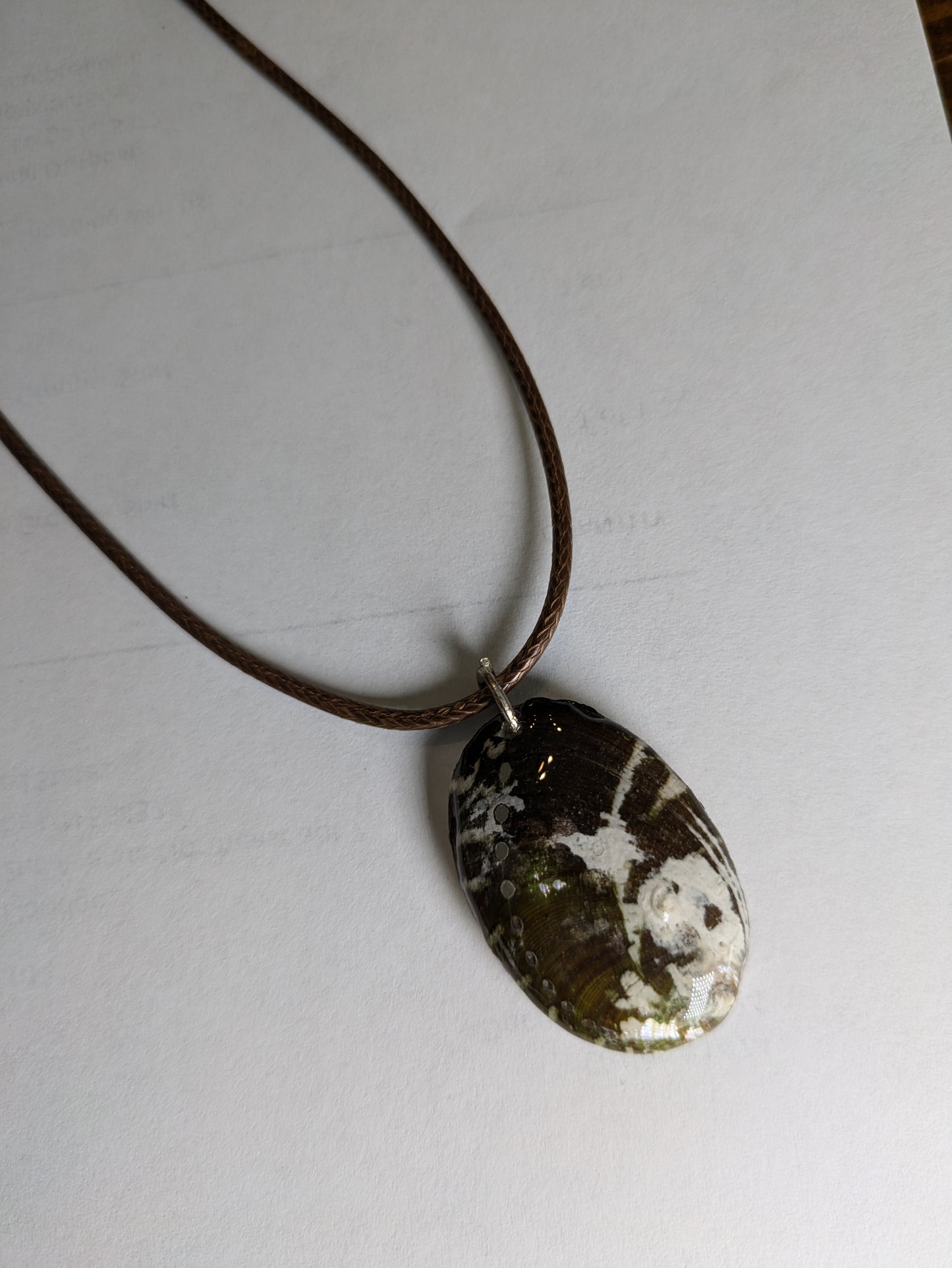 Abalone Shell Necklace