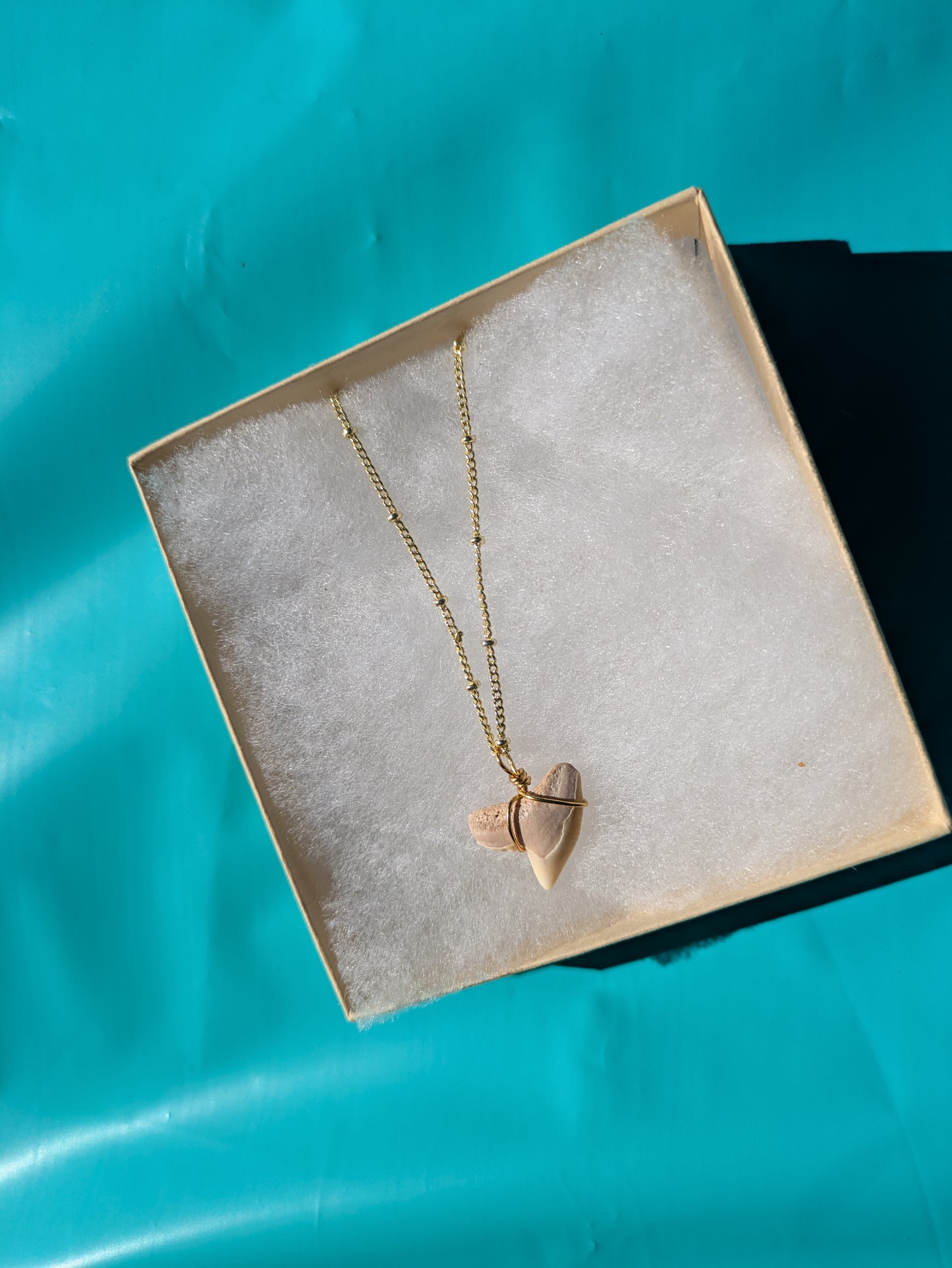 Gold Chain Tiger Shark Tooth Necklace