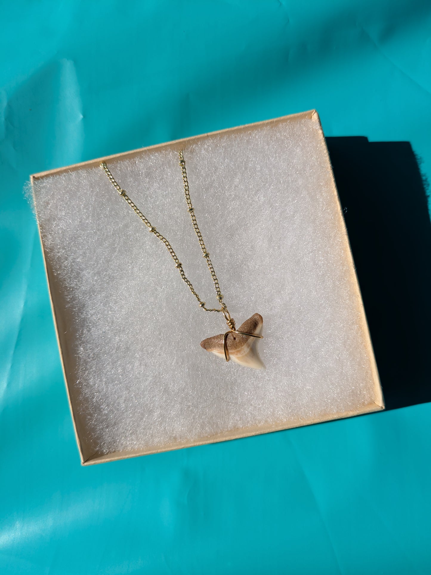 Gold Chain Bull Shark Tooth Necklace