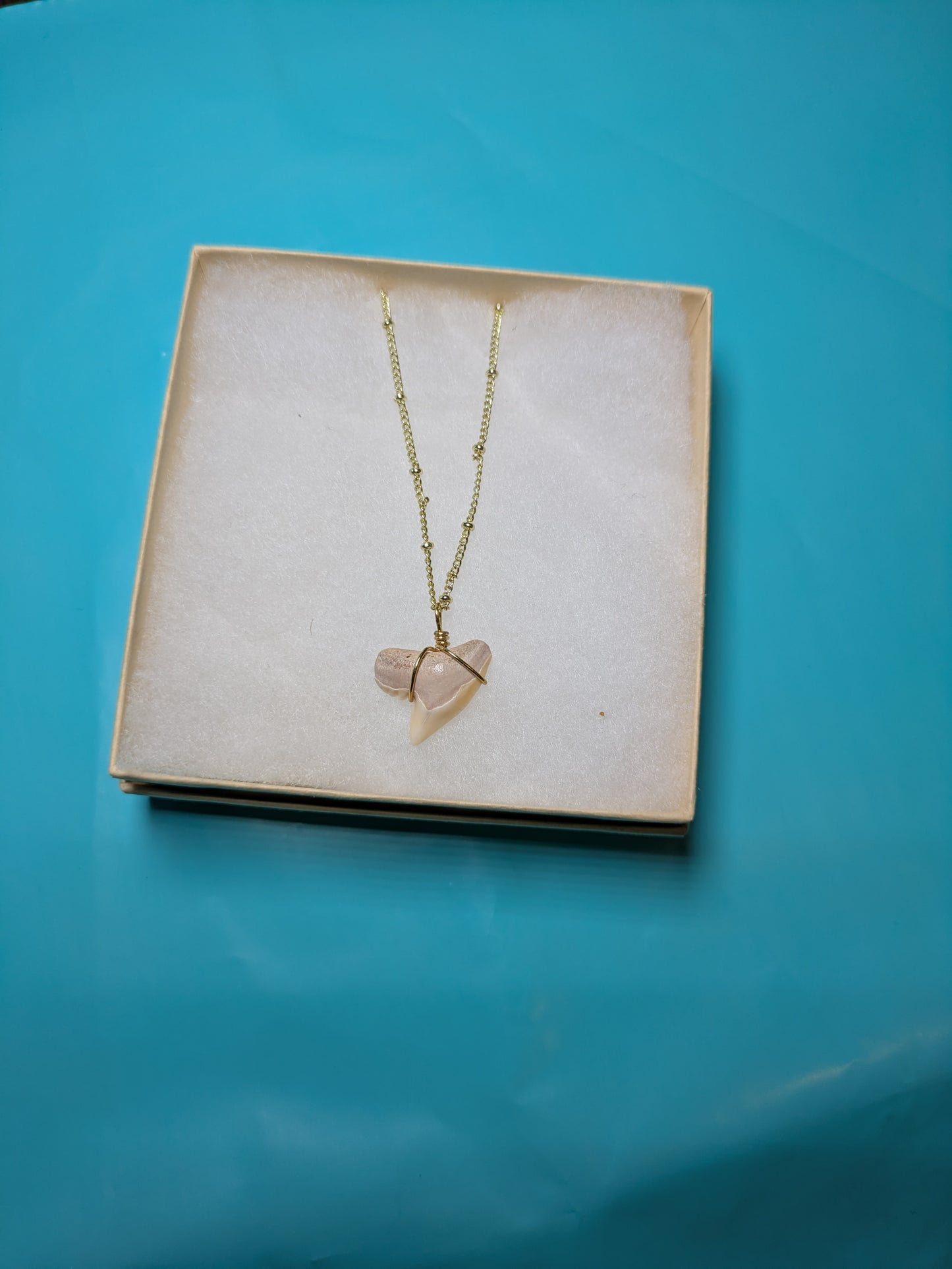 Gold Chain Tiger Shark Tooth Necklace