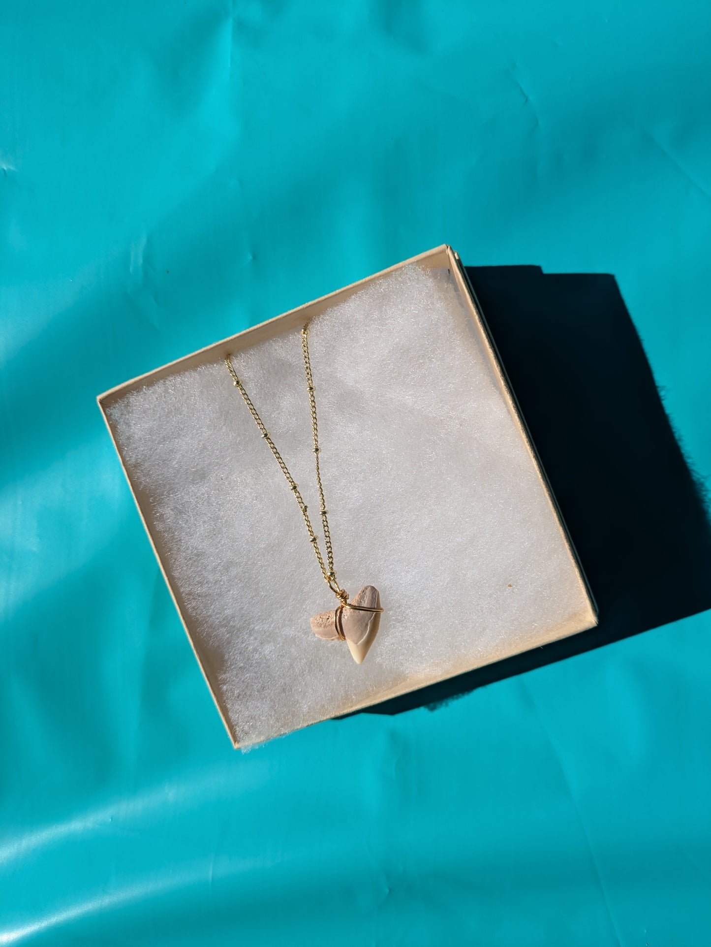 Gold Chain Tiger Shark Tooth Necklace