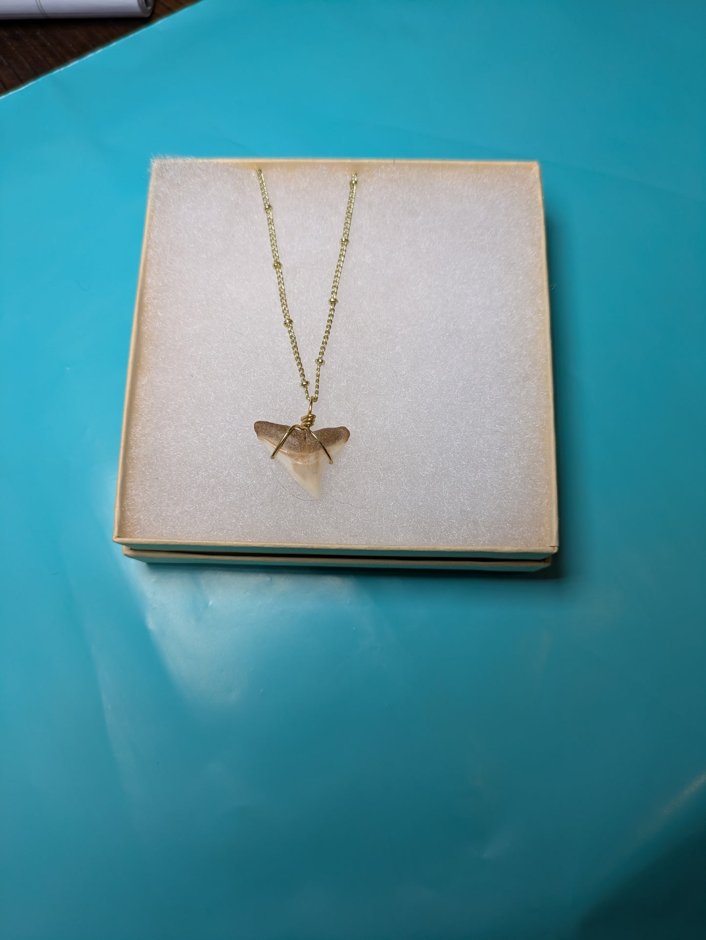 Gold Chain Bull Shark Tooth Necklace