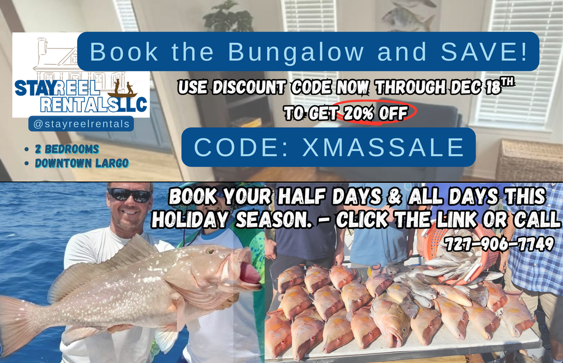 Winter Fishing Report & Holiday Deals!