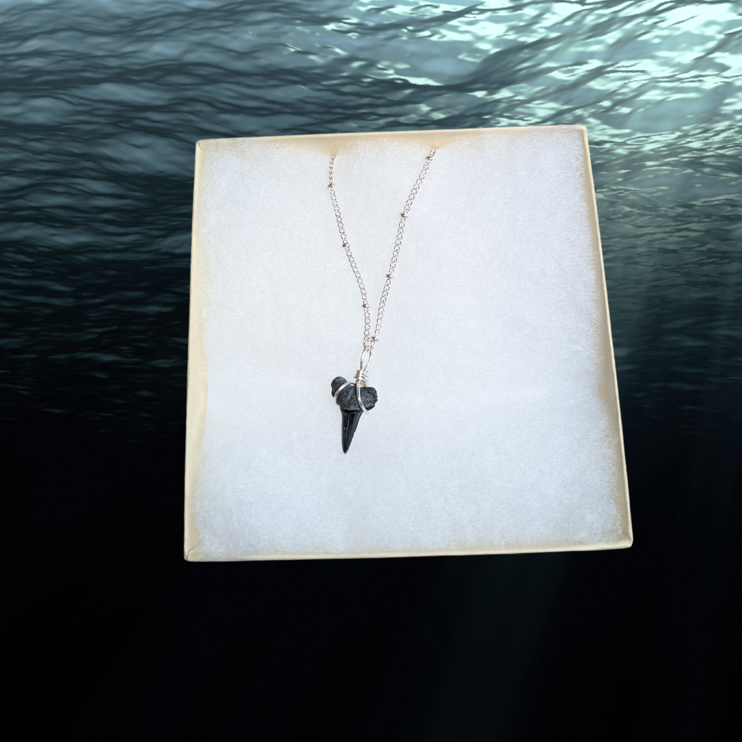 Silver Chain Bull Shark Tooth Pendant Necklace