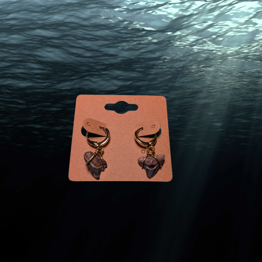 Bull Shark Gold Plated Dangle Earrings