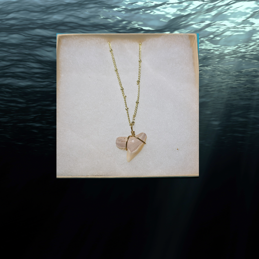 Gold Chain Tiger Shark Tooth Necklace