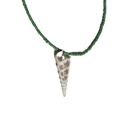 Beaded Sliced Shell Necklace
