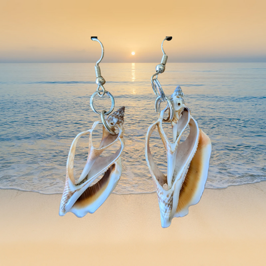 Multi Color Long Sliced Sea Shell Dangle Earrings