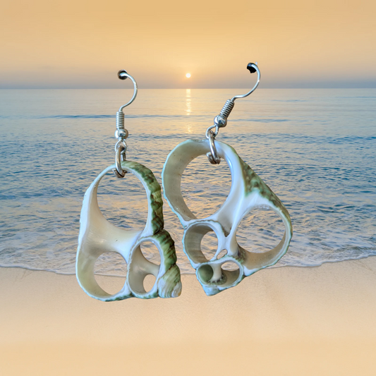 Green & White Sliced Sea Shell Dangle Earrings