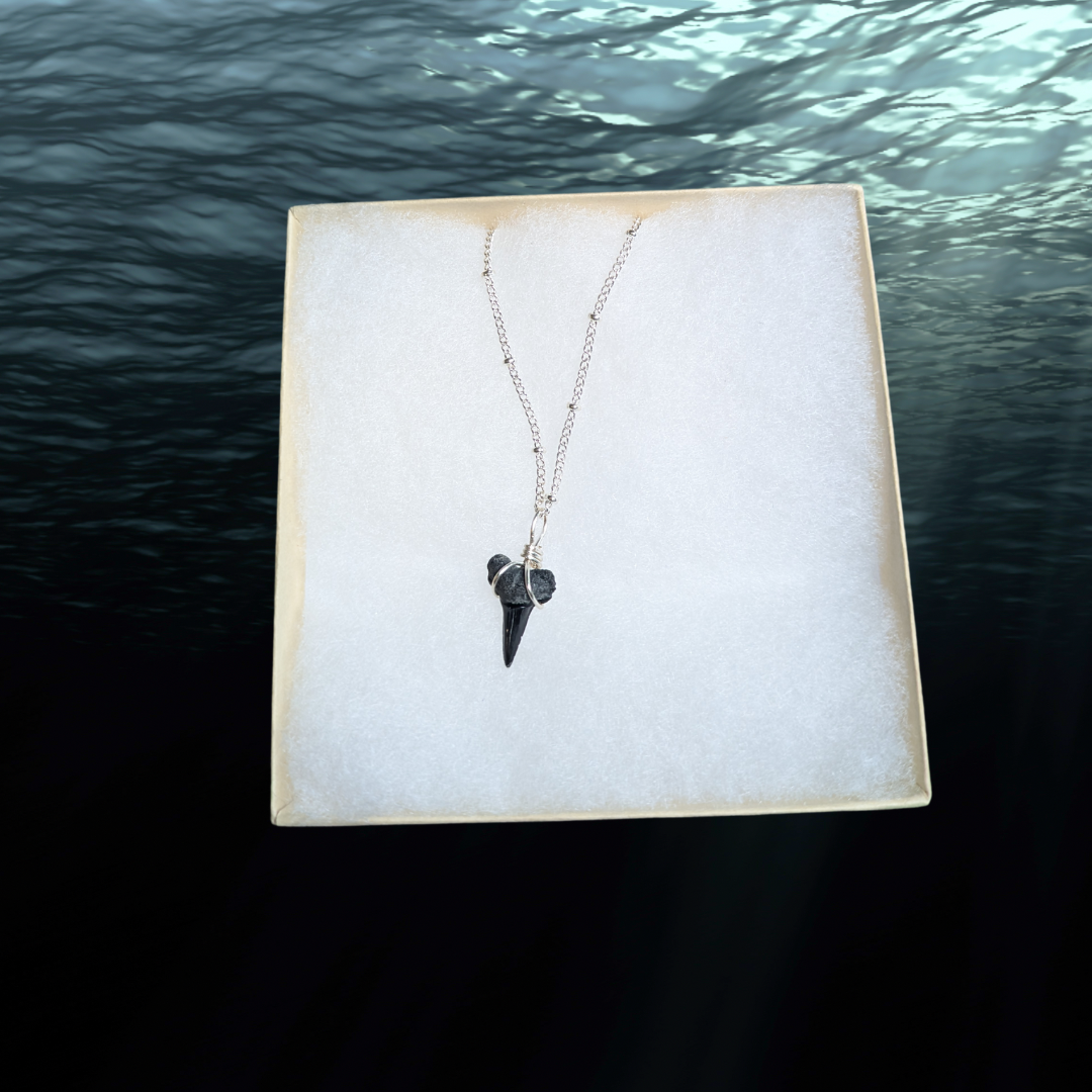 Bull Shark Tooth Pendant Necklace